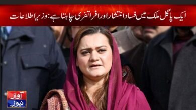 Maryam Aurangzeb News in Urdu