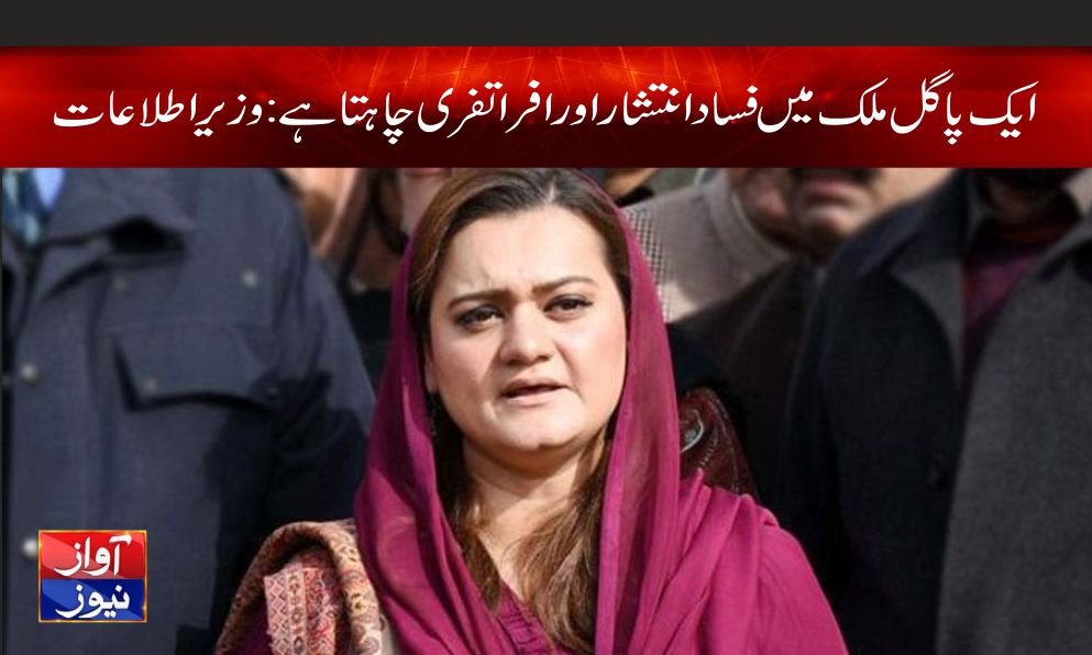 Maryam Aurangzeb News in Urdu