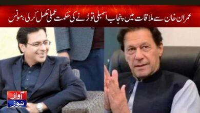 Mons Elah News in Urdu