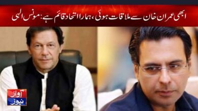Moonis Elahi News in Urdu