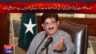 murad ali shah