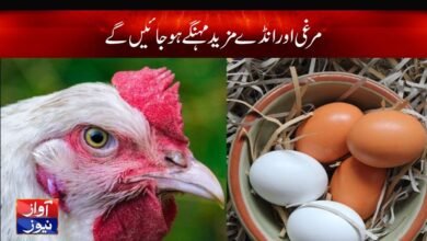 Chicken and Eggs More Expensive