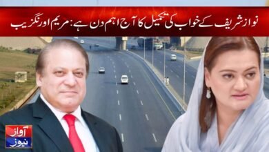 Marriyum Aurangzeb News in Urdu