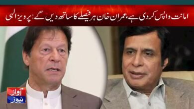 Pervaiz Elahi News in Urdu