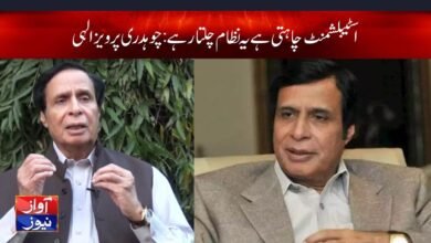 pervaiz elahi news in urdu