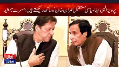 Musrat Jamshed Cheema News