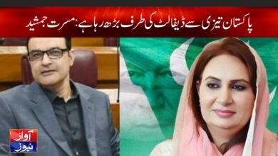 Musrat Jamshed Cheema News in Urdu