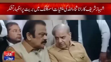 Rana Sanaullah drug smuggling case News