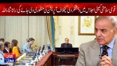 Sana Ullah News in Urdu