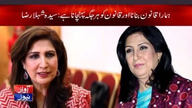 Syeda Shehla Raza