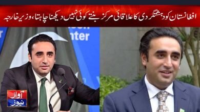 Bilawal Bhutto Zardari Interview