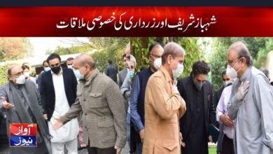 Asif Ali Zardari Latest News in Urdu