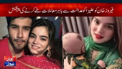 Feroze Khan's Offer to Aliza Sultan