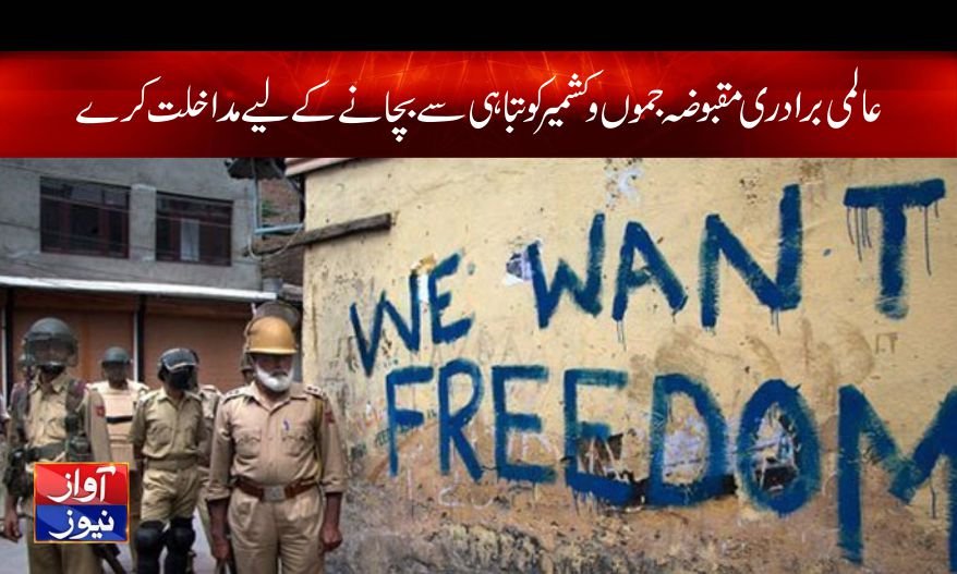  عالمی برادری مقبوضہ جموں وکشمیر کوتباہی سے بچانے کے لیے مداخلت کرے