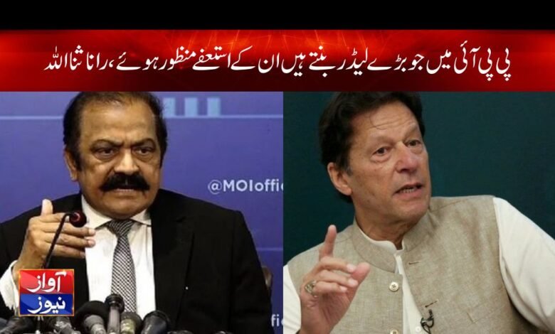 Rana Sanaullah News In Urdu