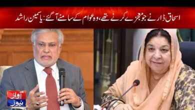 Yasmeen Rashid News in Urdu