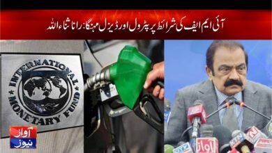 Rana Sana Allah Latest News in Urdu