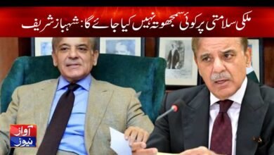 Shahbaz Sharif News In Urdu