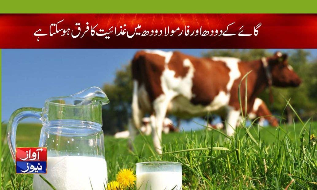 milk benefits and disadvantages in urdu
