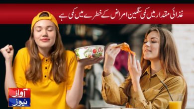Daily Food Plan Article in Urdu