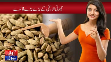 Little Cardamom Benefits in Urdu