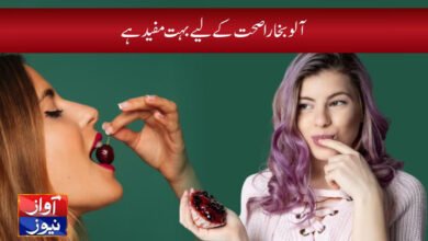 Plum Fruit Benefits in Urdu