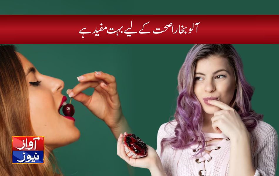 Plum Fruit Benefits in Urdu