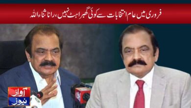 Sanaullah News in Urdu