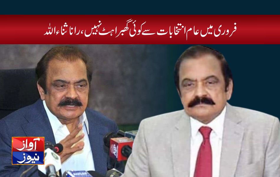 Sanaullah News in Urdu