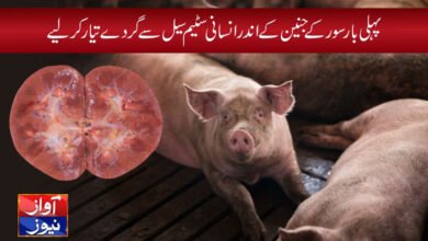 Science and Technology Latest News in Urdu