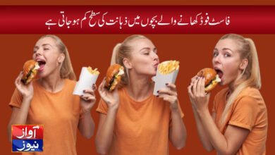 fast food advantages and disadvantages in urdu