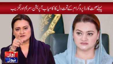 marriyum aurangzeb news