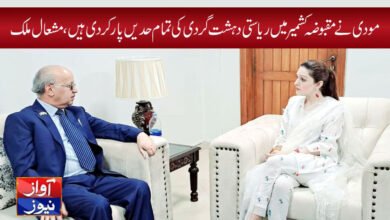 mishal malik news in urdu