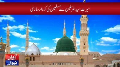 raja shahid rasheed column