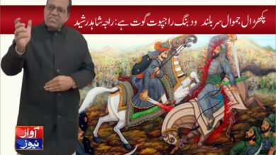 history of rajput in urdu