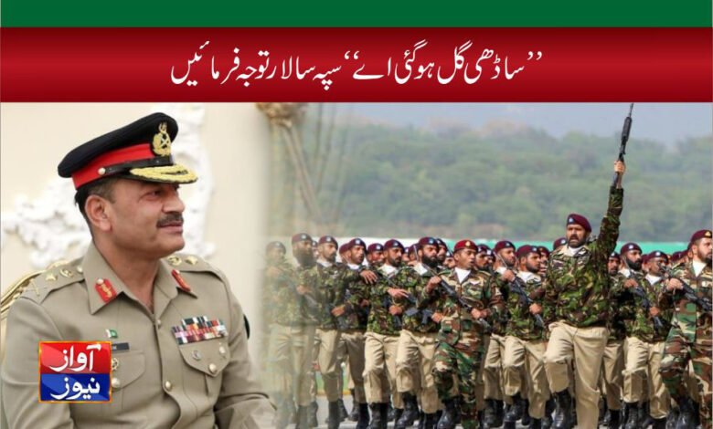 pakistan army chief article in urdu