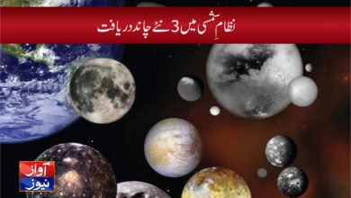 discover news in urdu