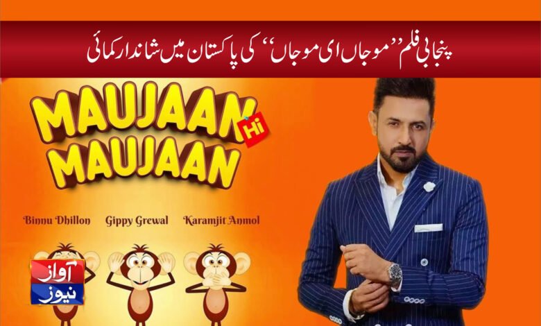 showbies news in urdu