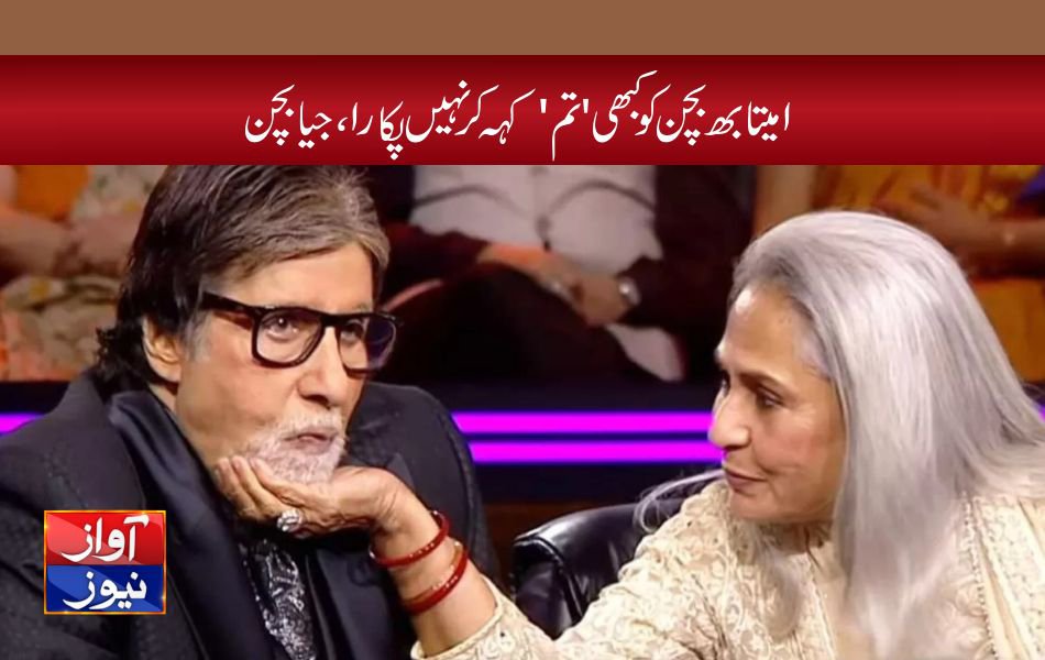 showbies news in urdu