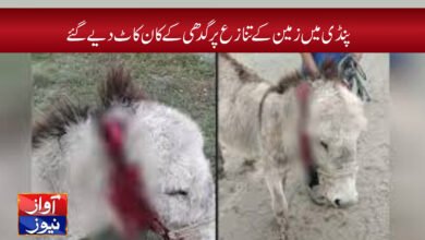 Pakistani News in Urdu