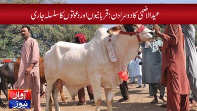 Pakistani news in urdu