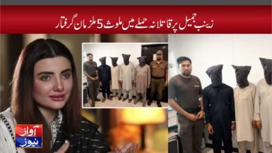 Zainab Jameel News in Urdu