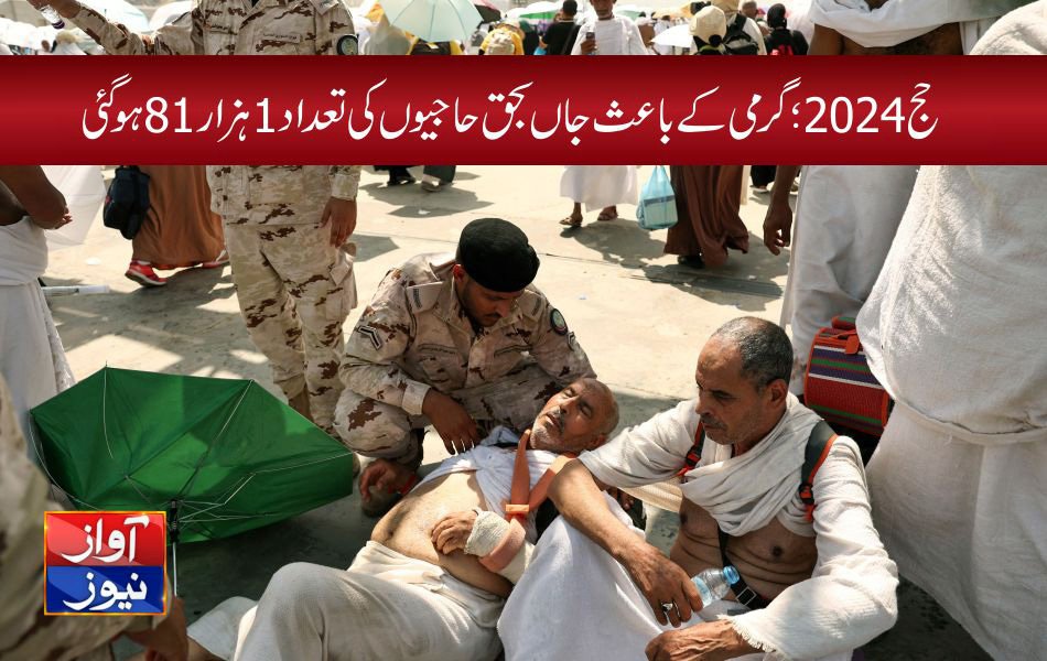 حج 2024؛ گرمی کے باعث جاں بحق حاجیوں کی تعداد1 ہزار81 ہوگئی