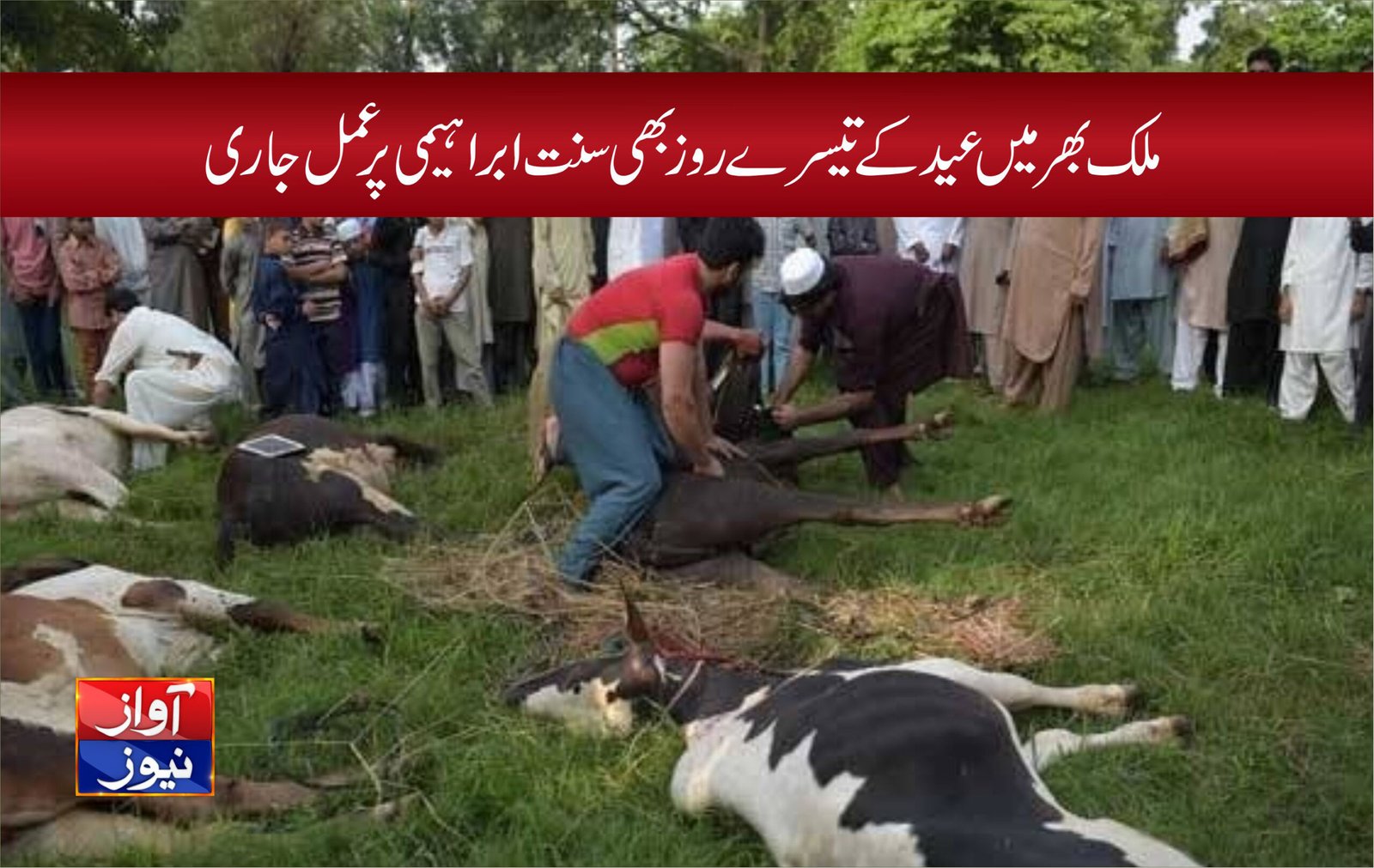 ملک بھر میں عید کے تیسرے روز بھی سنت ابراہیمی پر عمل جاری